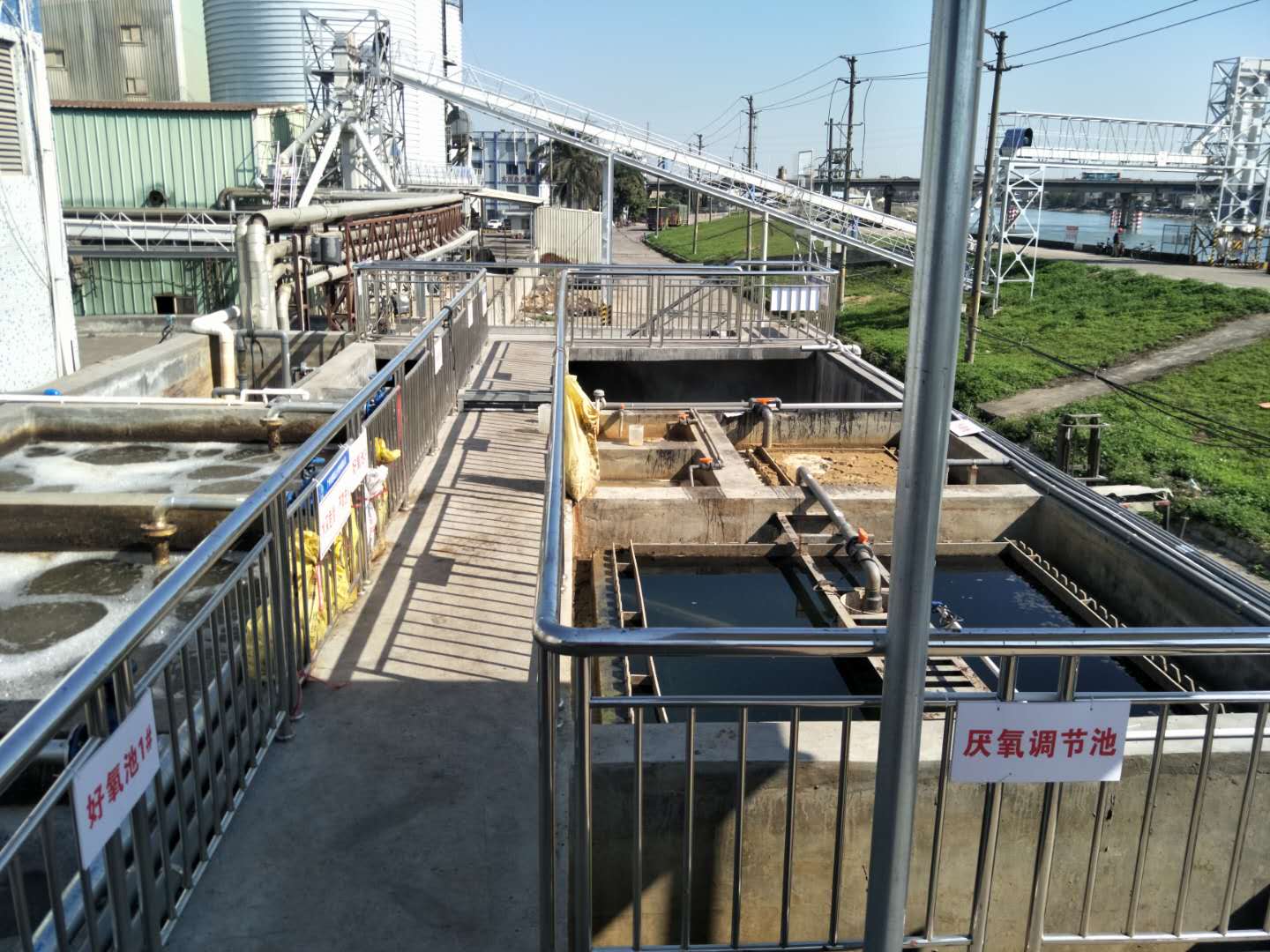 食品廢水植物處理技術(shù)，你知道嗎？