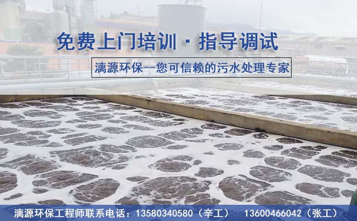 廢紙制漿造紙廢水處理技術(shù)